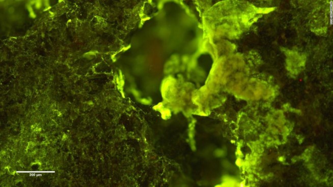 BACTERIAS DE LA TIERRA PODRÍAN SER UTILIZADAS PARA MINAR EN LA LUNA O MARTE