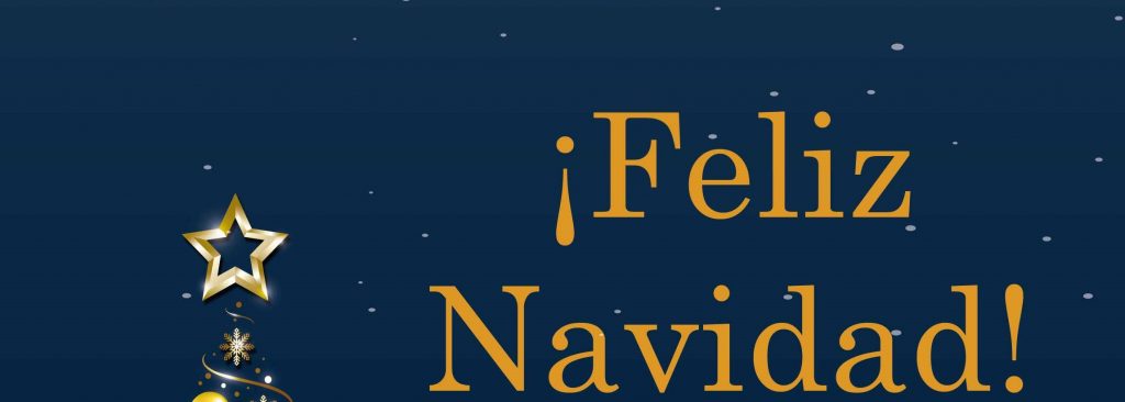 ESPERAMOS QUE PASES UNA NAVIDAD LLENA DE ALEGRÍA.