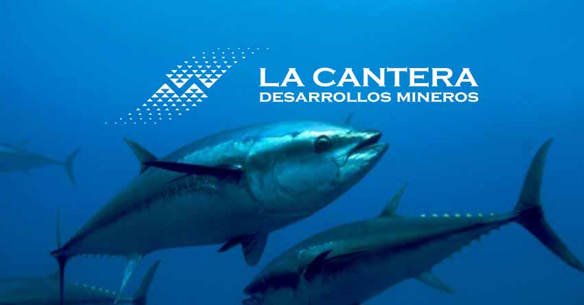 DIA MUNDIAL DE LA VIDA SILVESTRE
