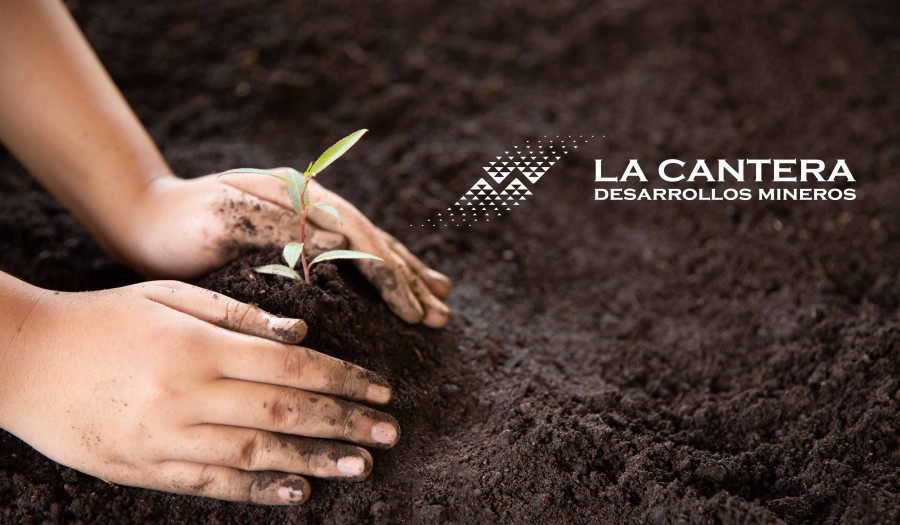 DÍA INTERNACIONAL DE LA MADRE TIERRA